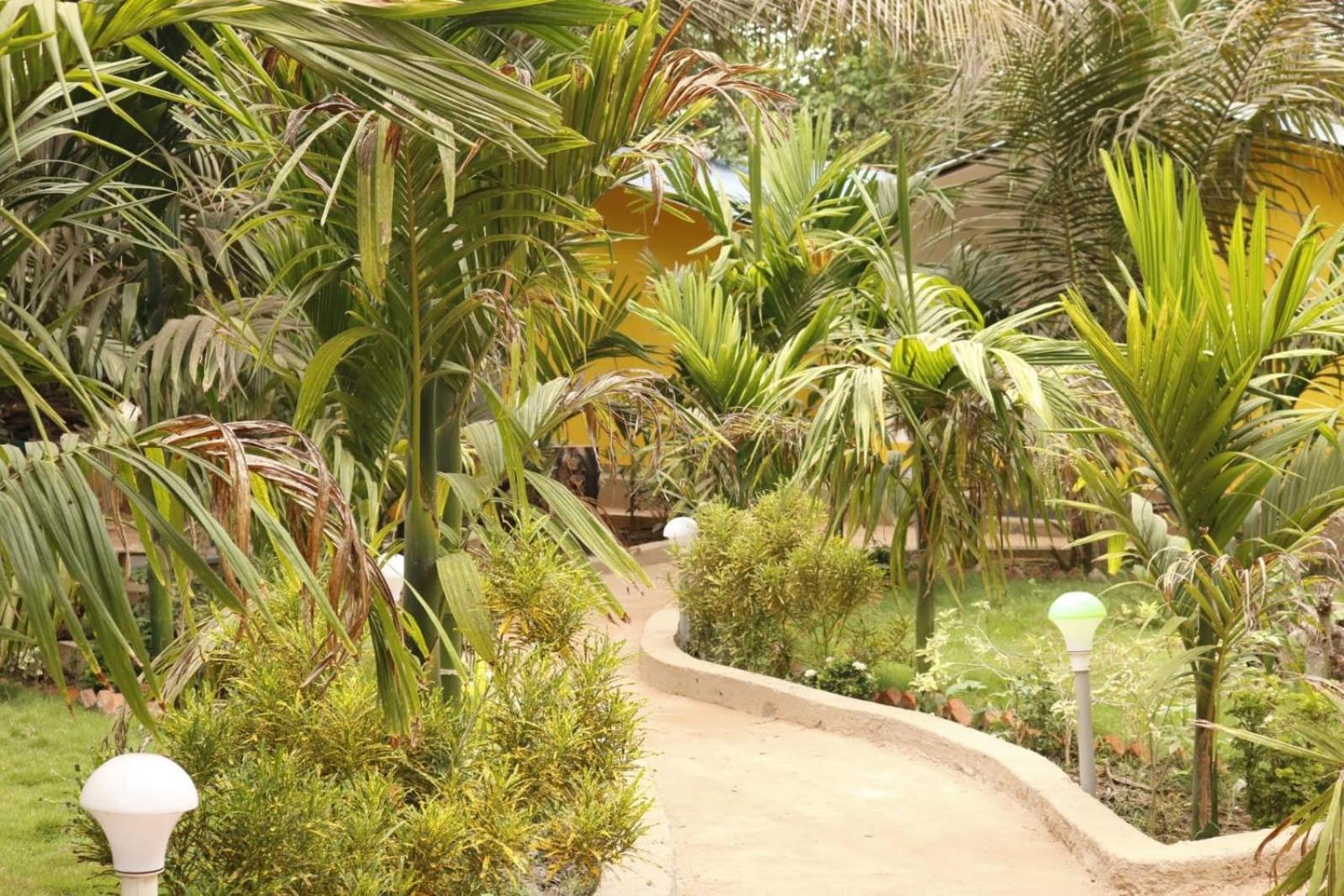 Lavish Exotic Hotel & Apartments Arambol Dış mekan fotoğraf
